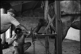 GLQ1975058W04898-04A.jpg