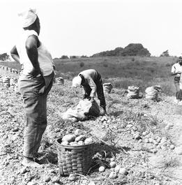 ARE1951001W00005-04